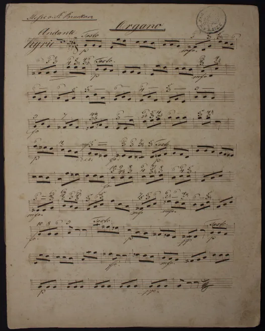 Organ