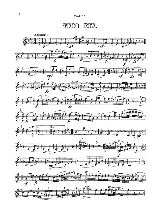 Violin