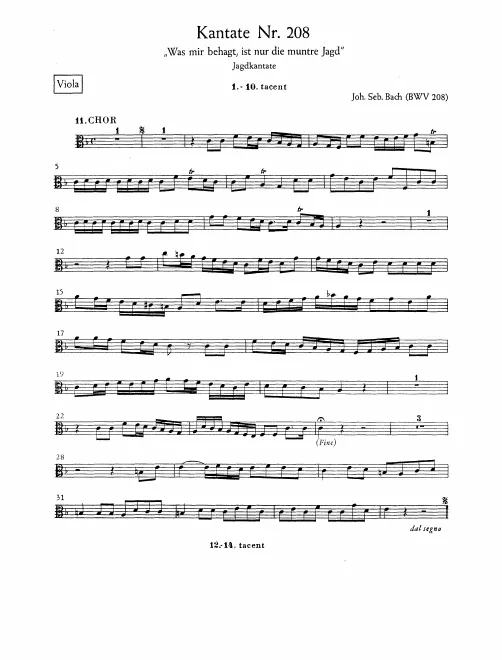 Violas