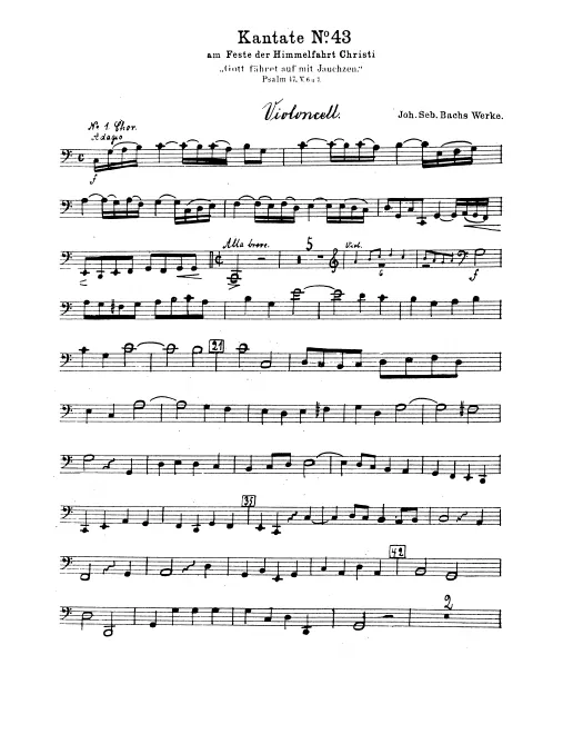 Cellos