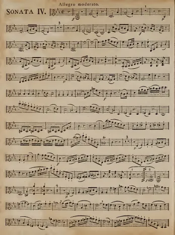 Violin