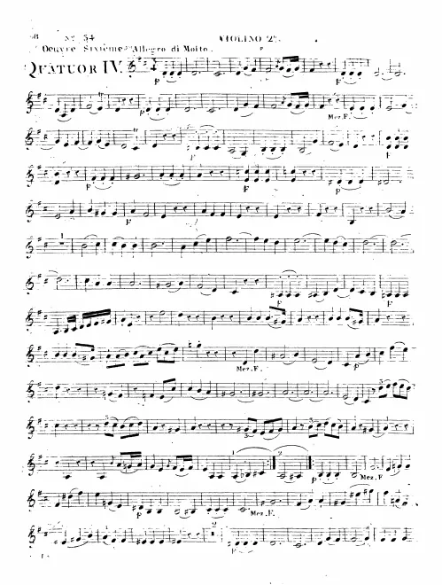 Violin 2