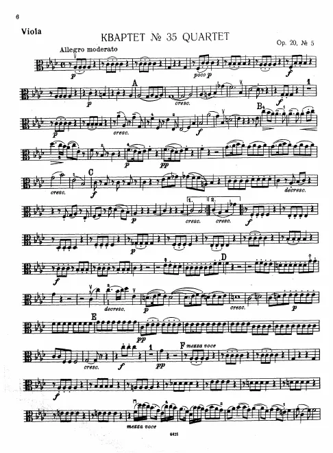 Viola
