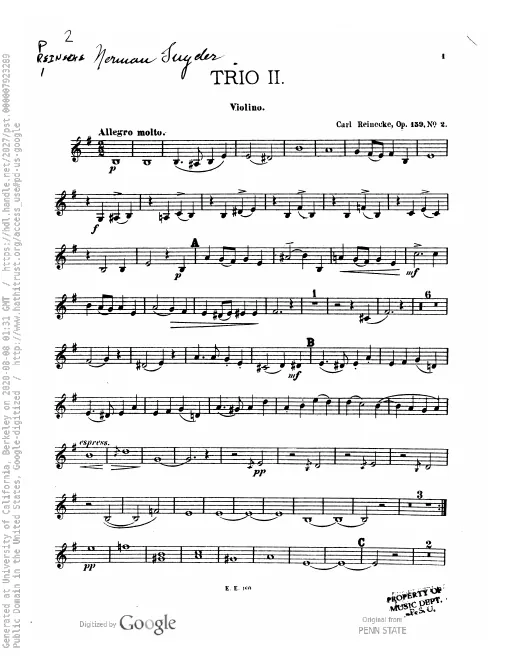 Violin