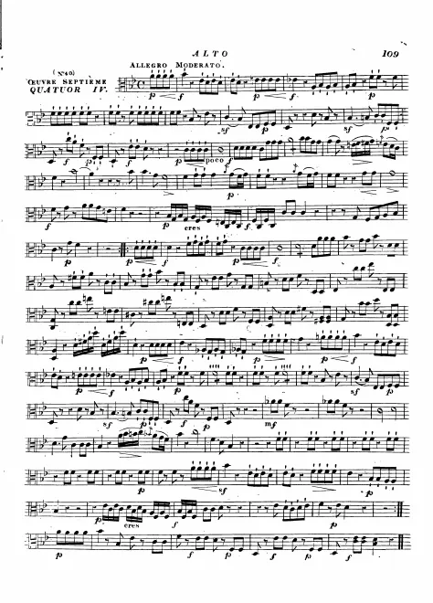 Viola