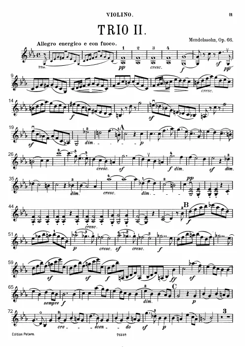 Violin