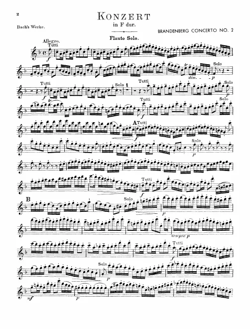 Flute (Recorder) solo