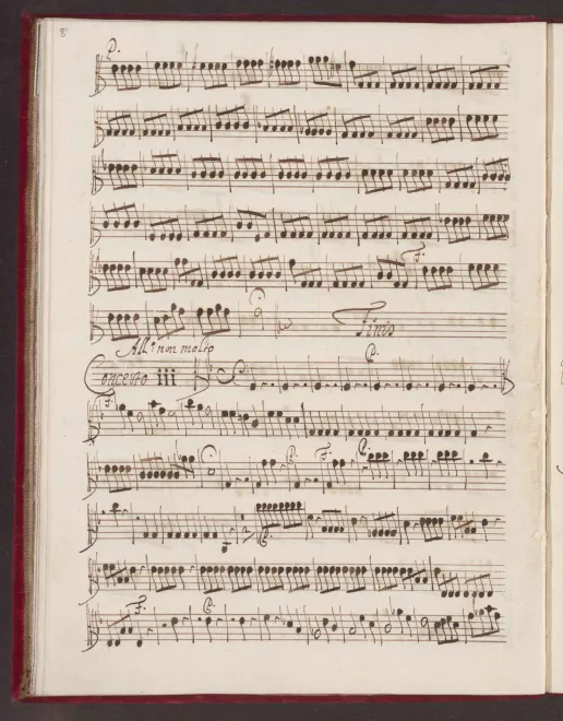 Violas