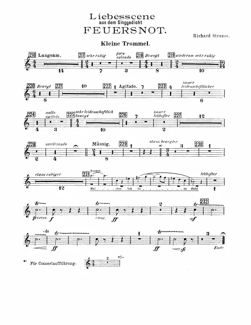 Snare Drum, Glockenspiel, Tam-Tam, Triangle, Bass Drum/Cymbals