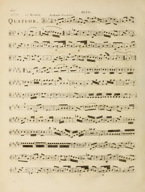 Viola