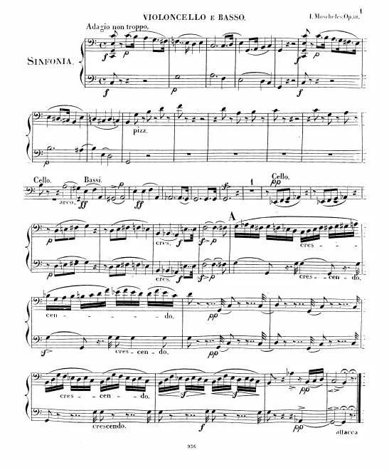Cellos and Basses