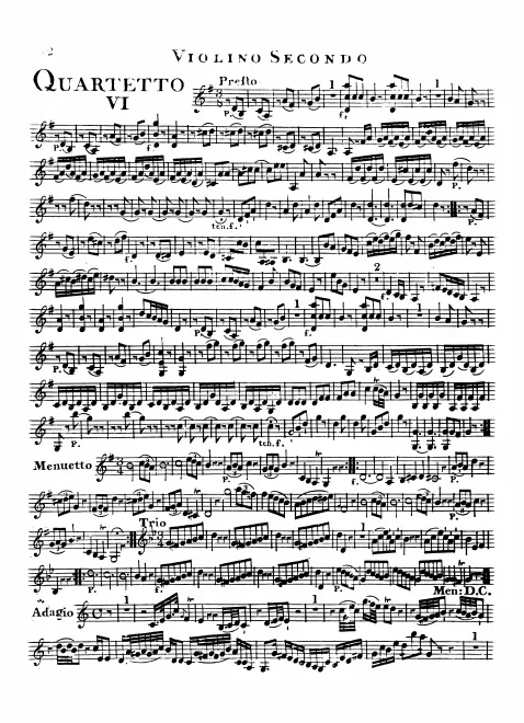 Violin 2