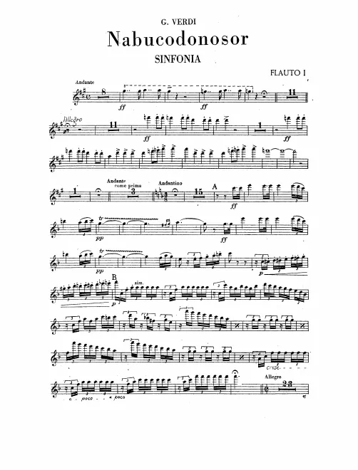 Flute 1