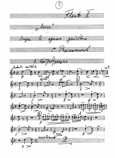 Flute 2