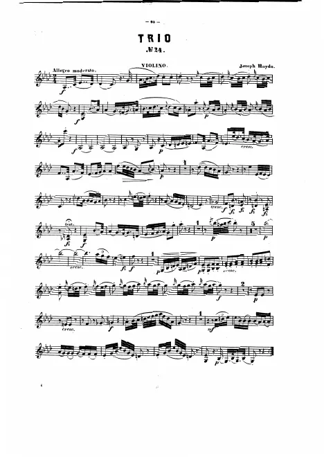 Violin