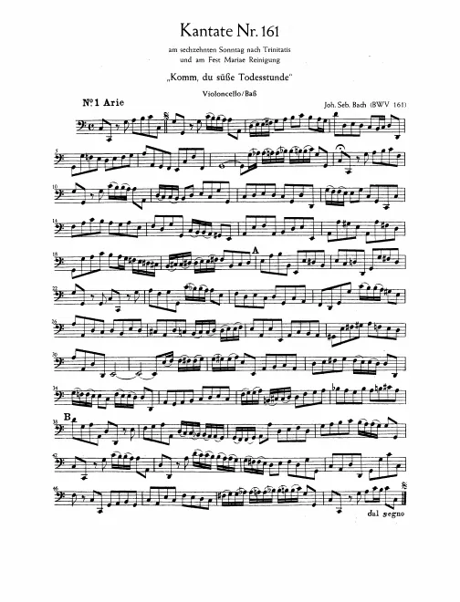 Cellos/Basses