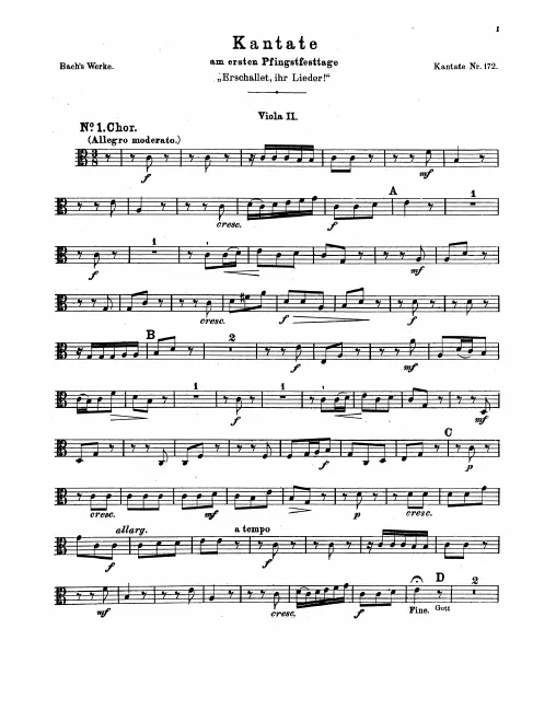 Violas II