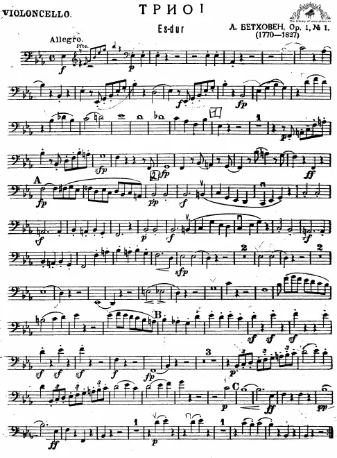 Cello