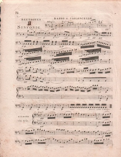 Cellos/Basses
