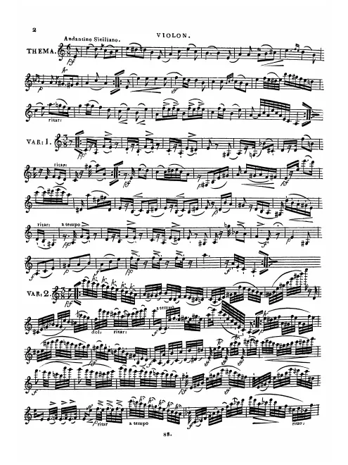 Violin