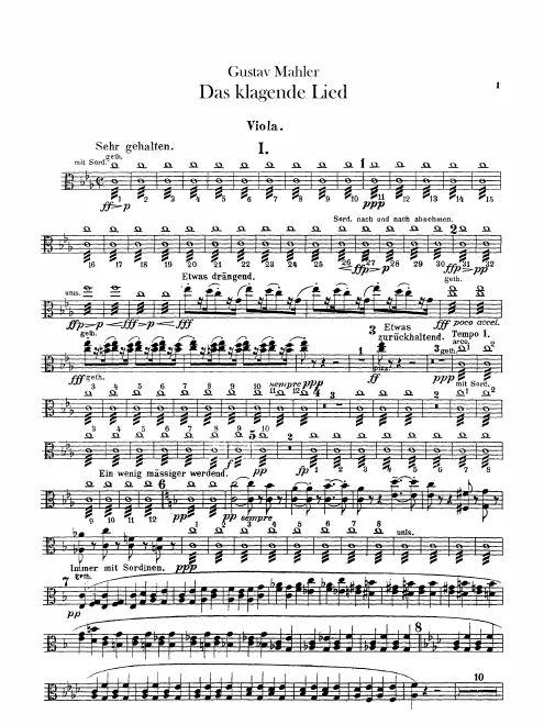 Violas