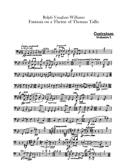 Basses