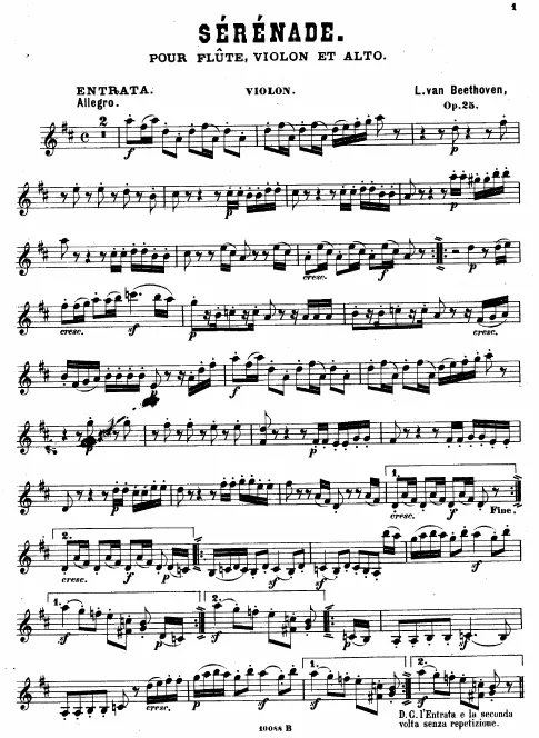 Violin