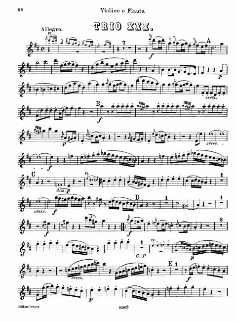 Violin