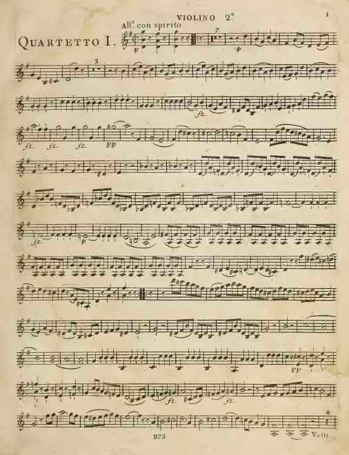 Violin 2 (color)