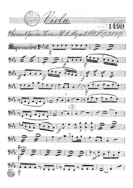 Violas