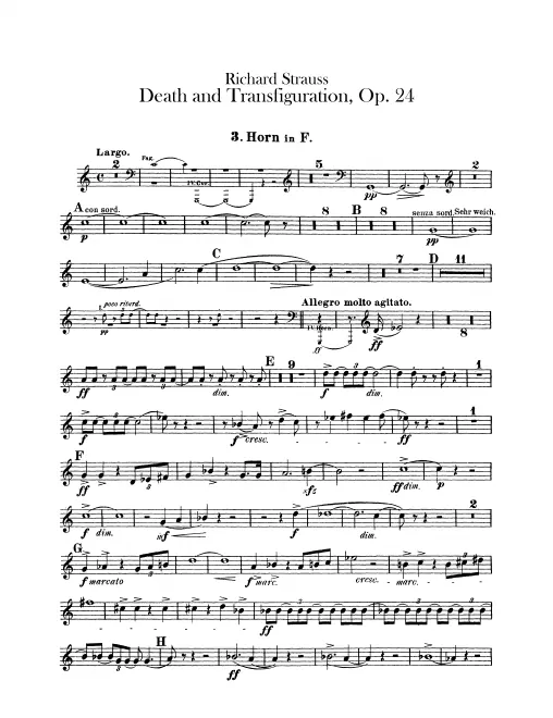 Horn 3 (F)