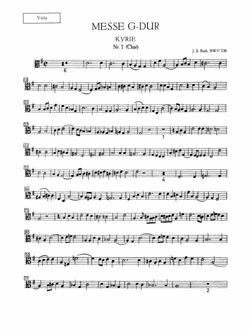 Violas