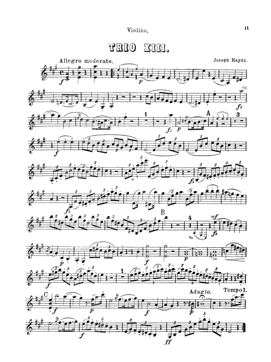 Violin