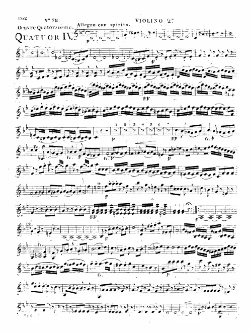 Violin 2