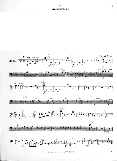 Cello