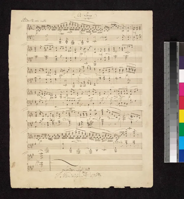 4. Moderato