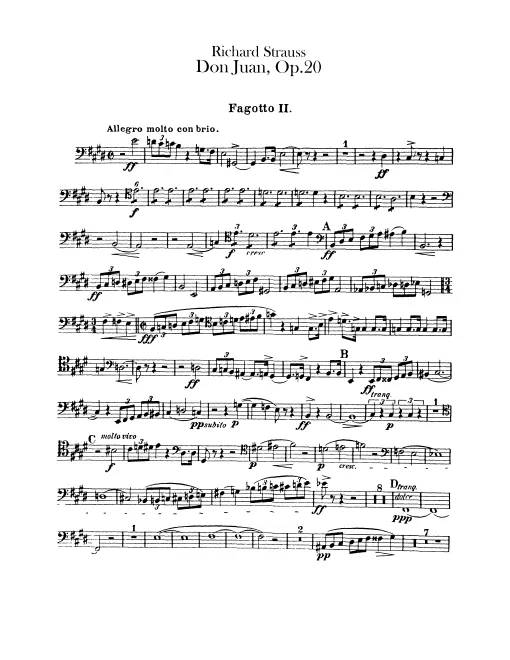 Bassoon 2