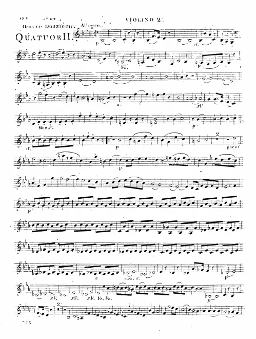 Violin 2