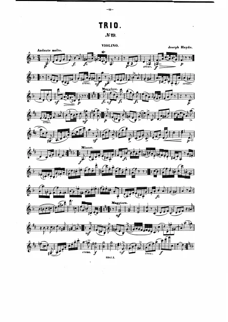 Violin