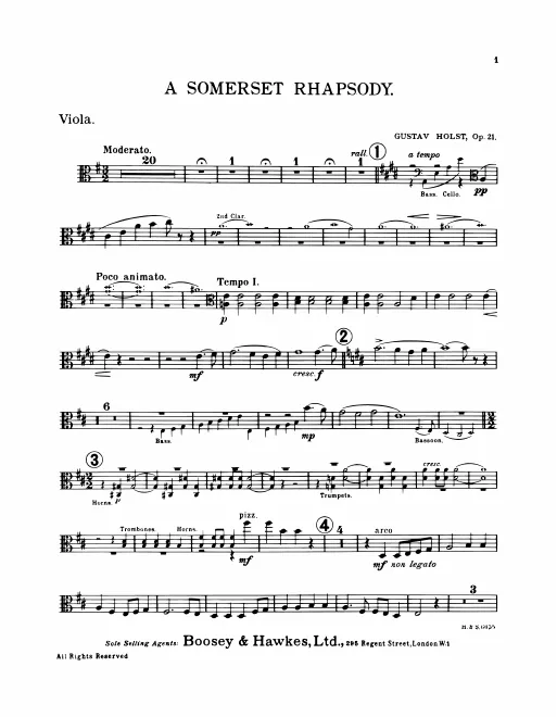 Violas