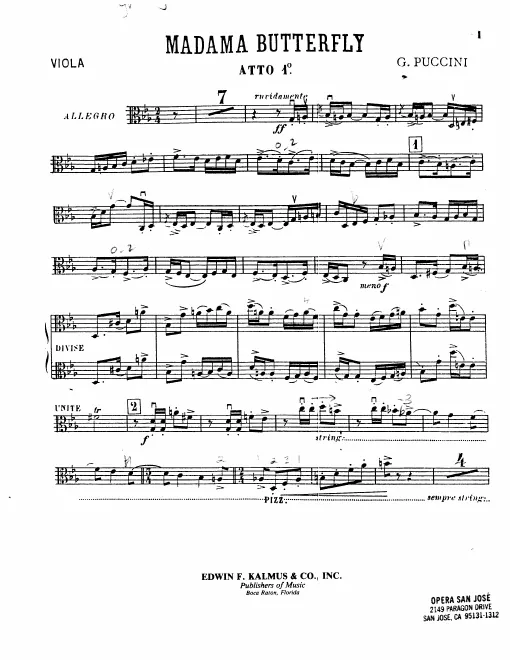 Violas