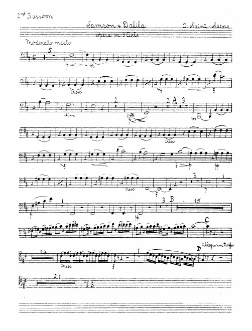 Bassoon 2