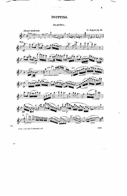 Flute 1