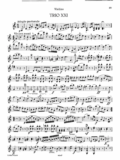 Violin