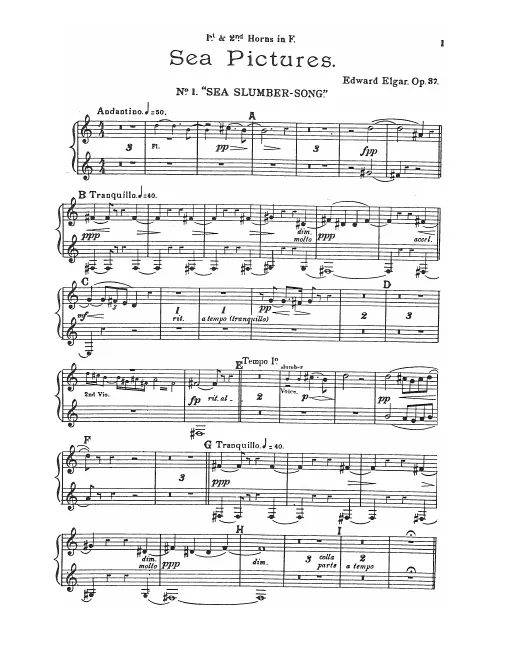 Horn 1/2 (F)