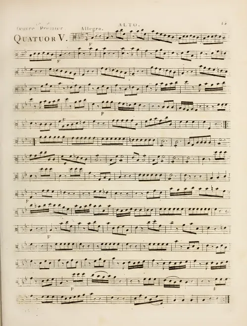Viola