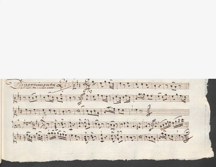 Viola