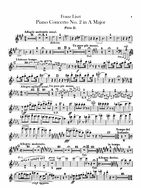 Flute 2