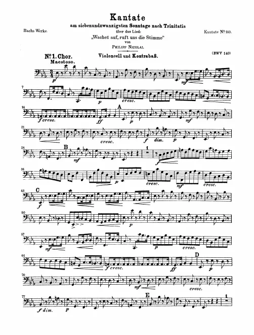 Cellos/Basses