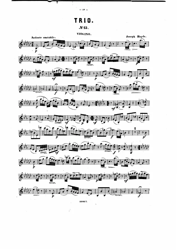 Violin